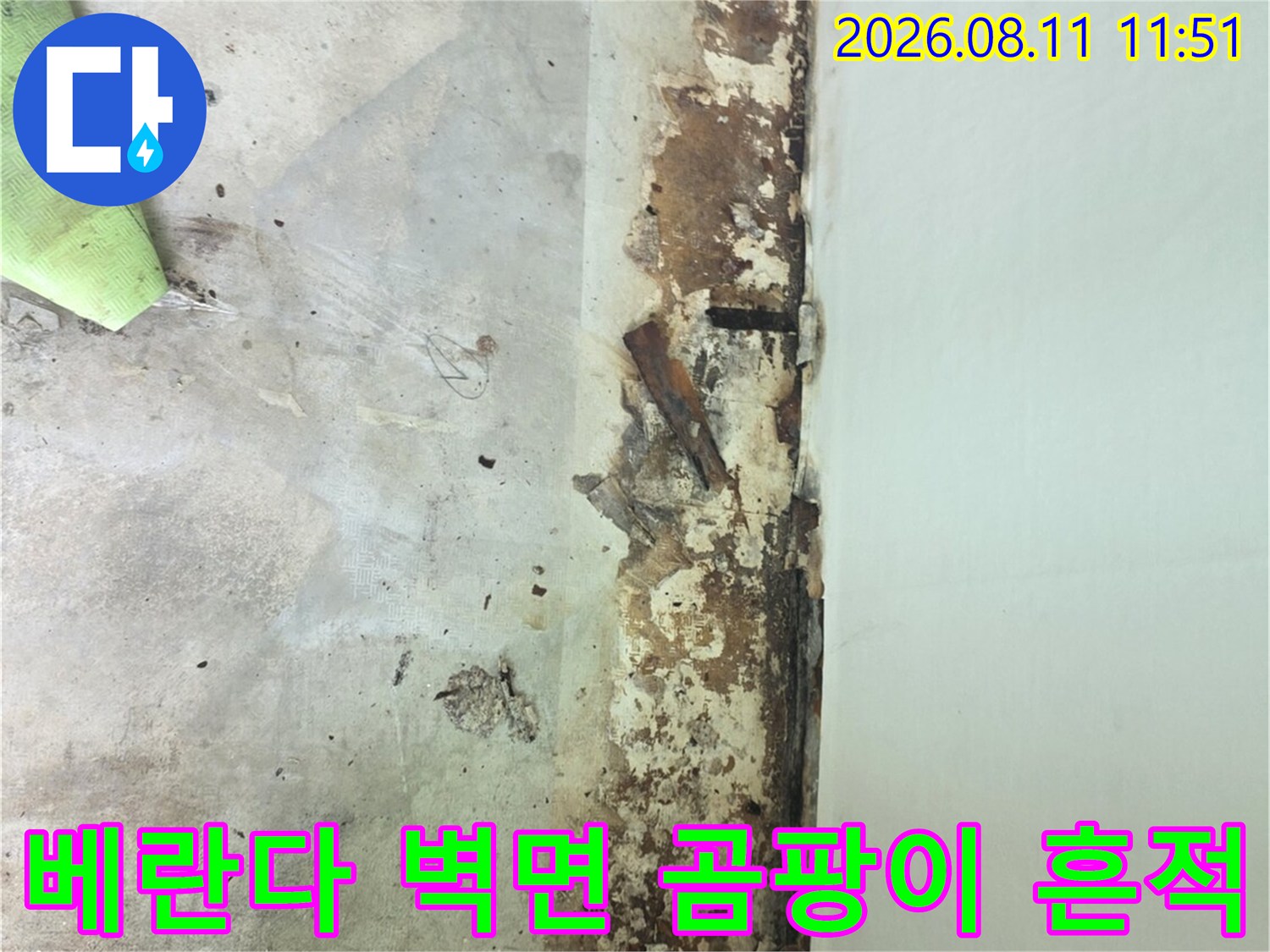 분당 정자동 아파트 베란다-벽면 하단에 발생한 심한 곰팡이와 도장 박리 현상