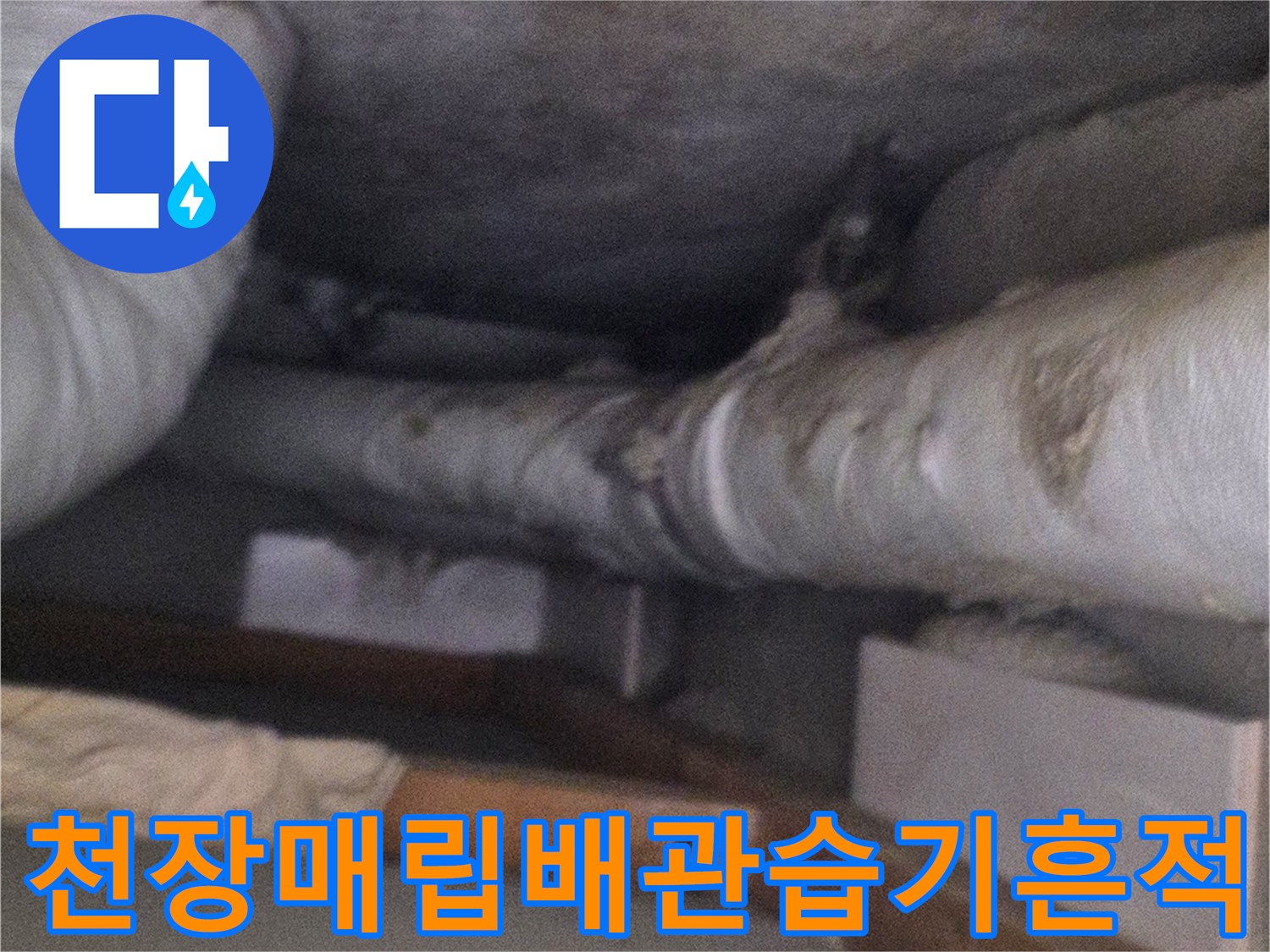 분당구-정자동-아파트-베란다-천장-내부-보온재가-감싸진-배관의-누수-흔적