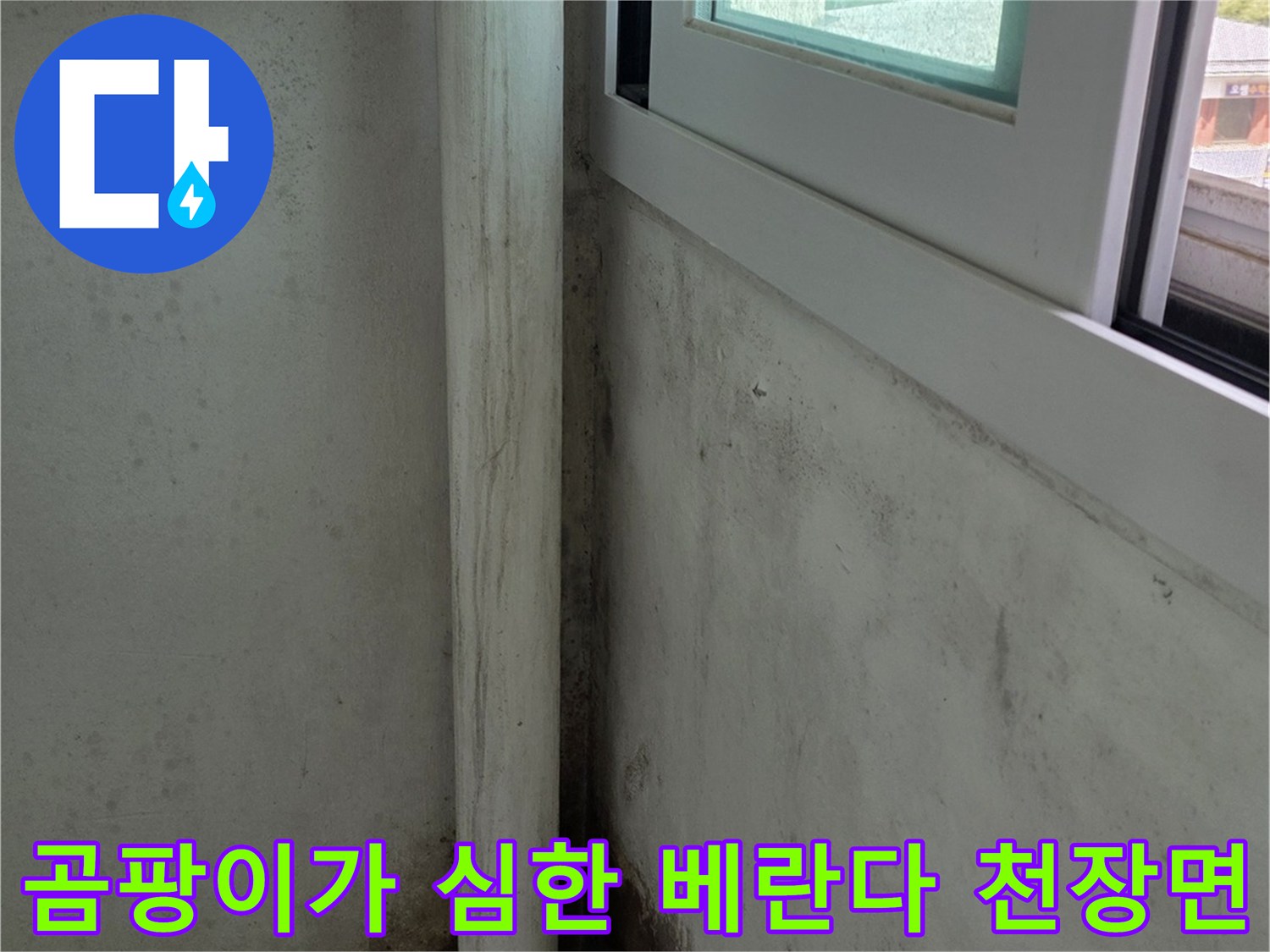 천장-전반에-걸쳐-나타난-누수로-인한-검은색-얼룩들