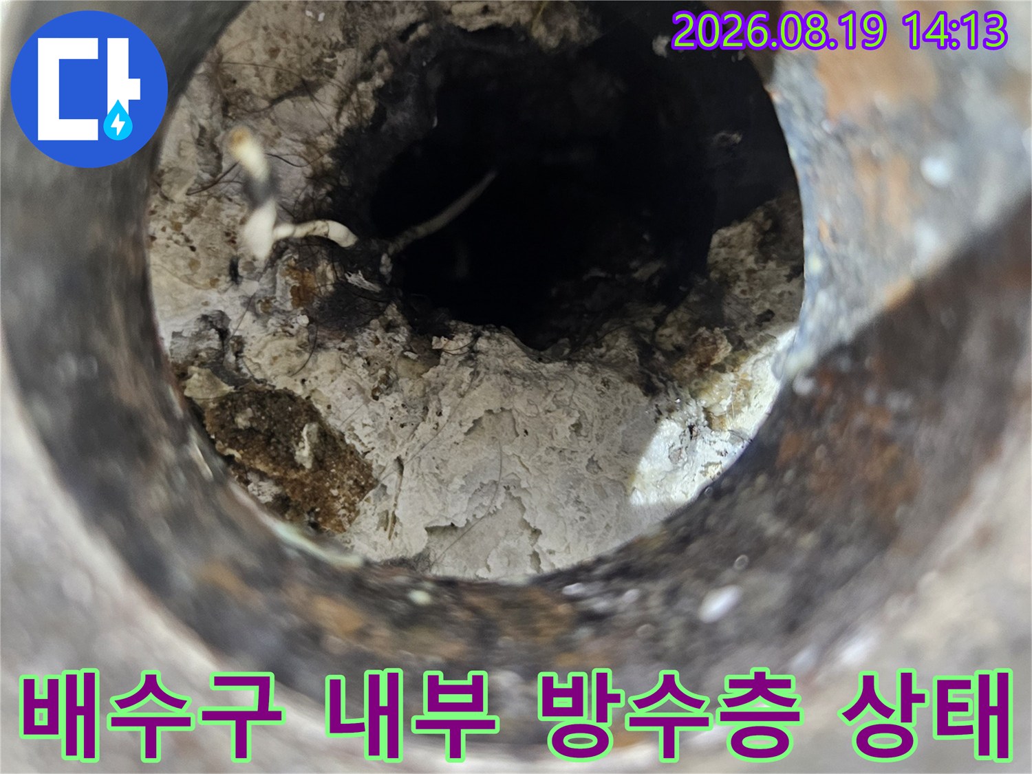고양시 백석동 화장실 배수구 내부의 노후된 방수층과 이물질 상태를 보여주는 사진입니다.