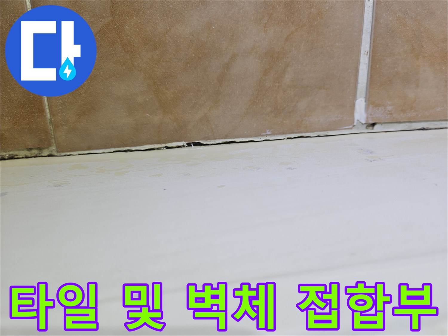 일산동구 현장-벌어진 타일 틈새와 습기 노출 부위