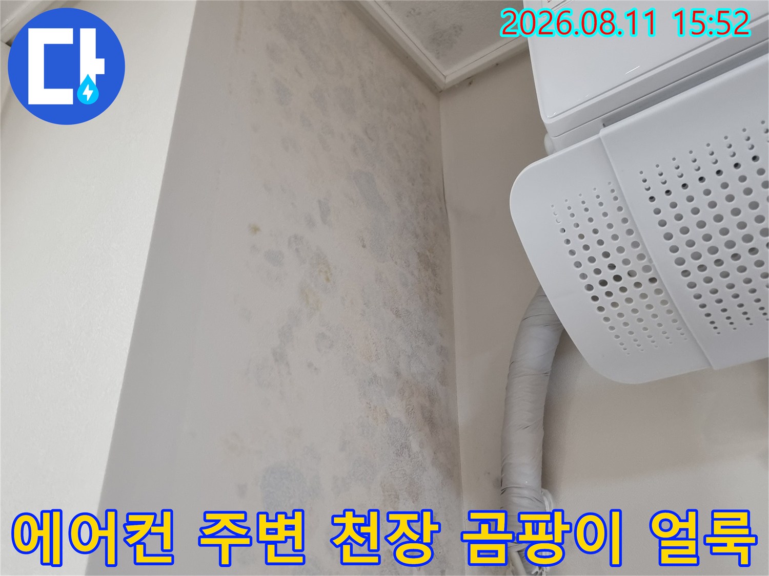 천장 에어컨 실내기 주변으로 넓게 퍼진 푸르스름한 곰팡이와 물 얼룩-누수 흔적