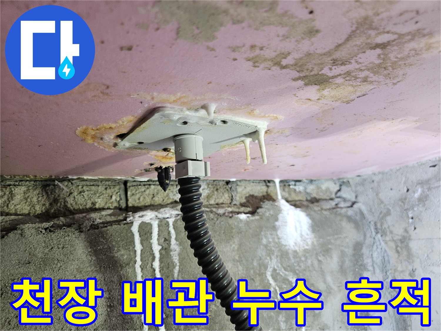 양주 옥정동 화장실 천장 내부의 배관 주변 석회 고드름과 물자국 현상