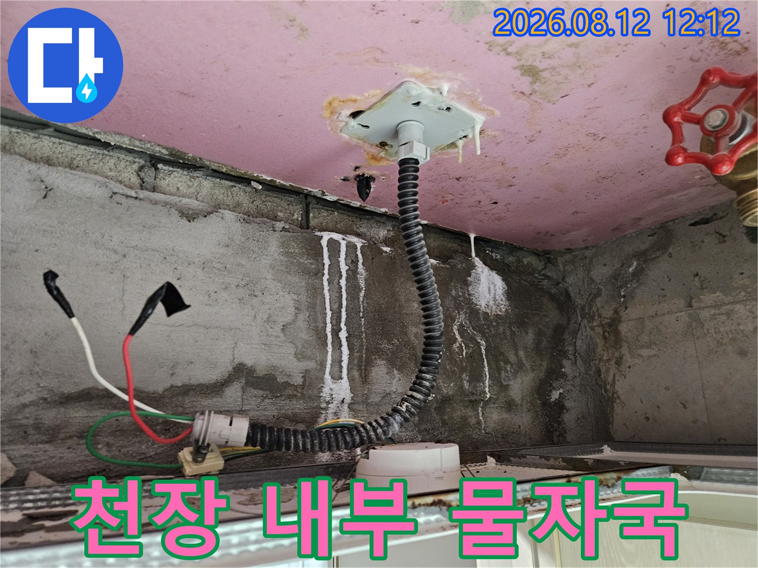 화장실 천장 마감재에 형성된 하얀색 누수 자국과 노출된 배관의 모습입니다.