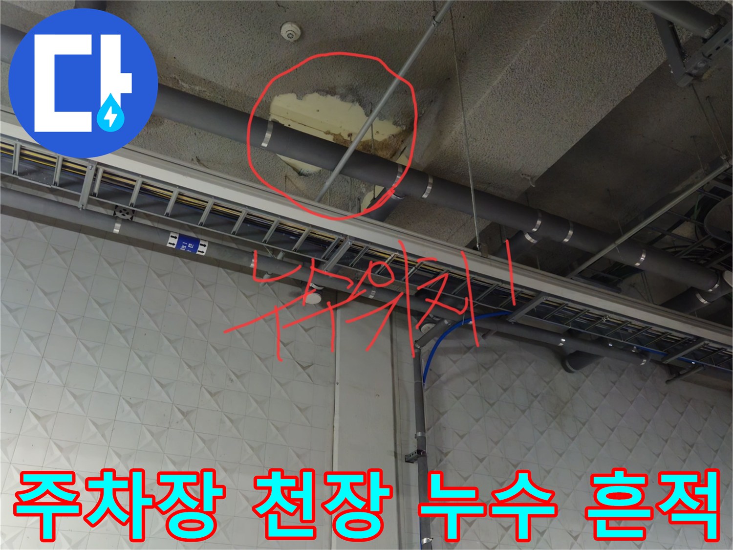 과천 지하 주차장 천장 배관 주변의 물샘 흔적을 보여주는 사진입니다.