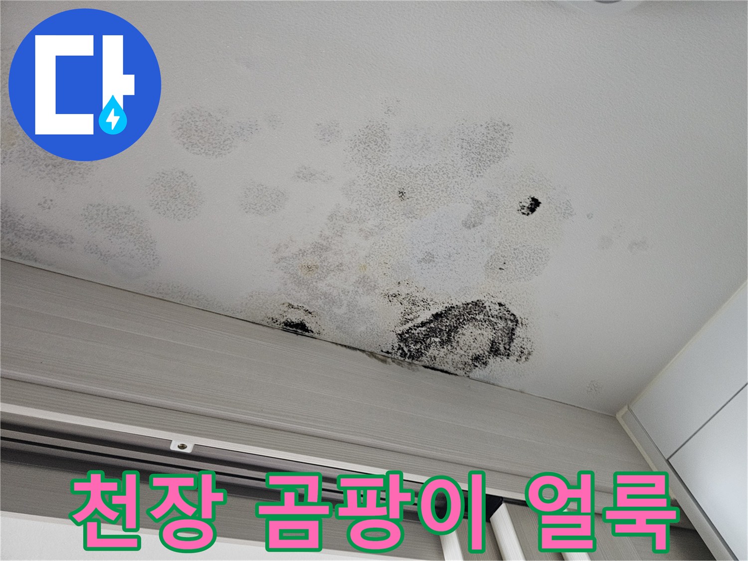 안산 단원구 현관 중문 천장에 발생한 넓은 범위의 곰팡이와 물자국