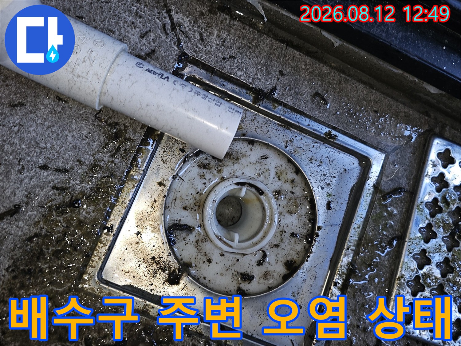 배수구 주변에 고여있는 물과 찌꺼기 상태 확인