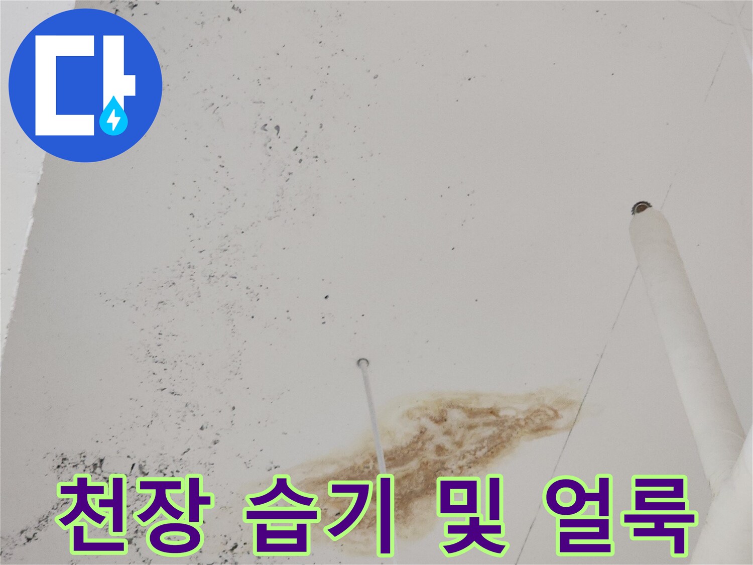 누수가 진행된-식당 아래층 천장의 변색 상태