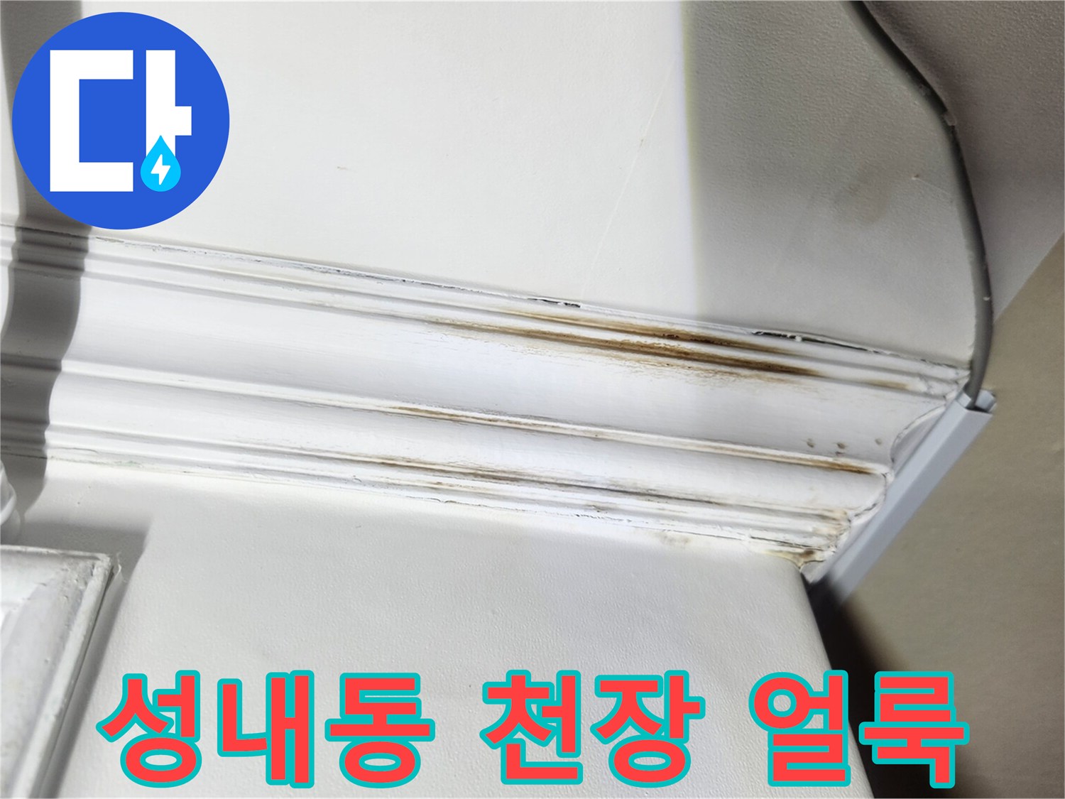 강동구 성내동 아파트-천장 몰딩 부위의 누수 흔적과 벽지 오염 상태