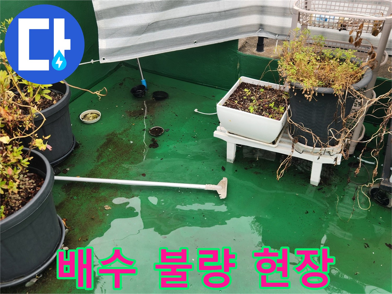 덕양구 현장-이물질로 막힌 배수구 주변 상황