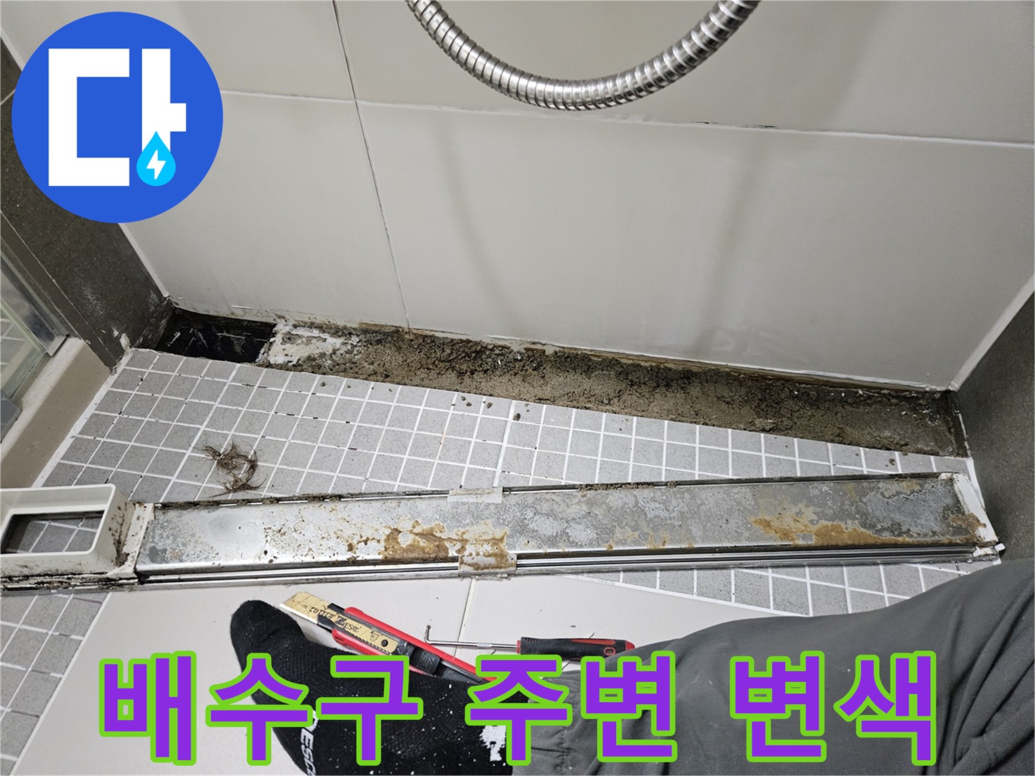 양주 옥정동-배수구 근처 타일의 검은 곰팡이와 오염물