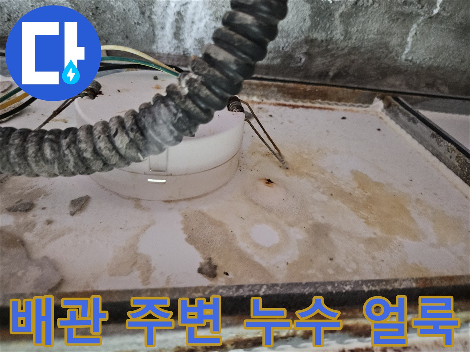 양주 옥정동 현장-천장 내부 배관의 물샘 흔적과 오염