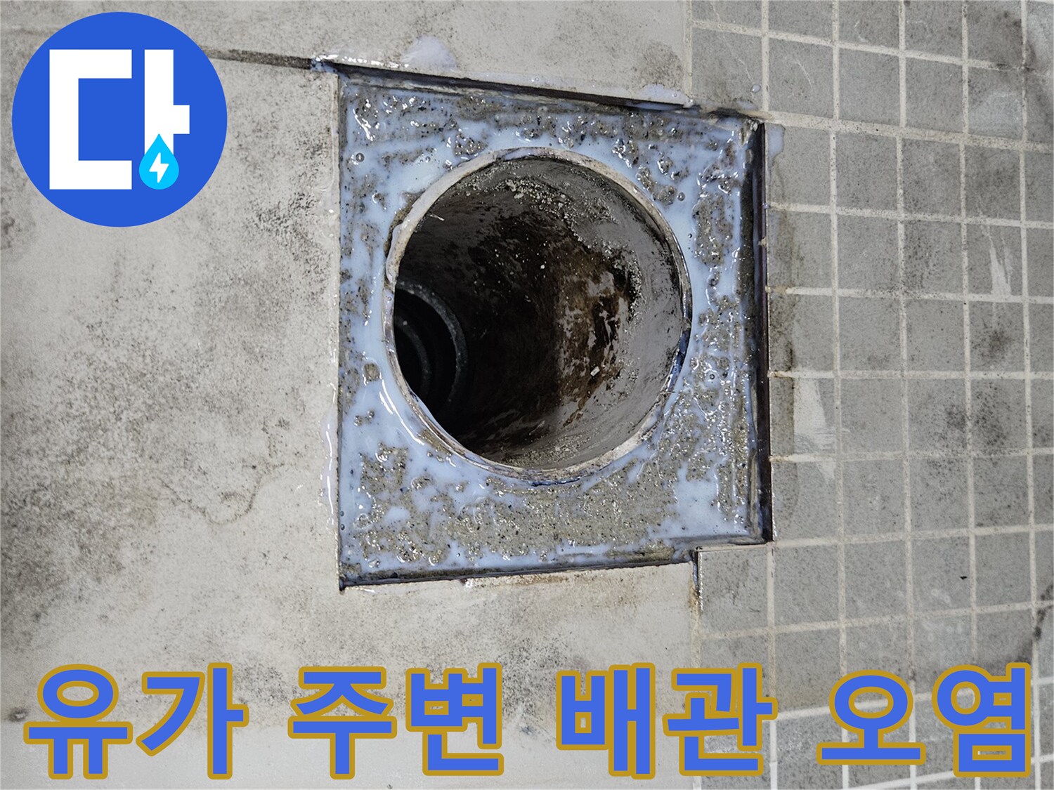 욕실 배수구 내부의 이물질과 습기로 인한 오염된 배관 부위