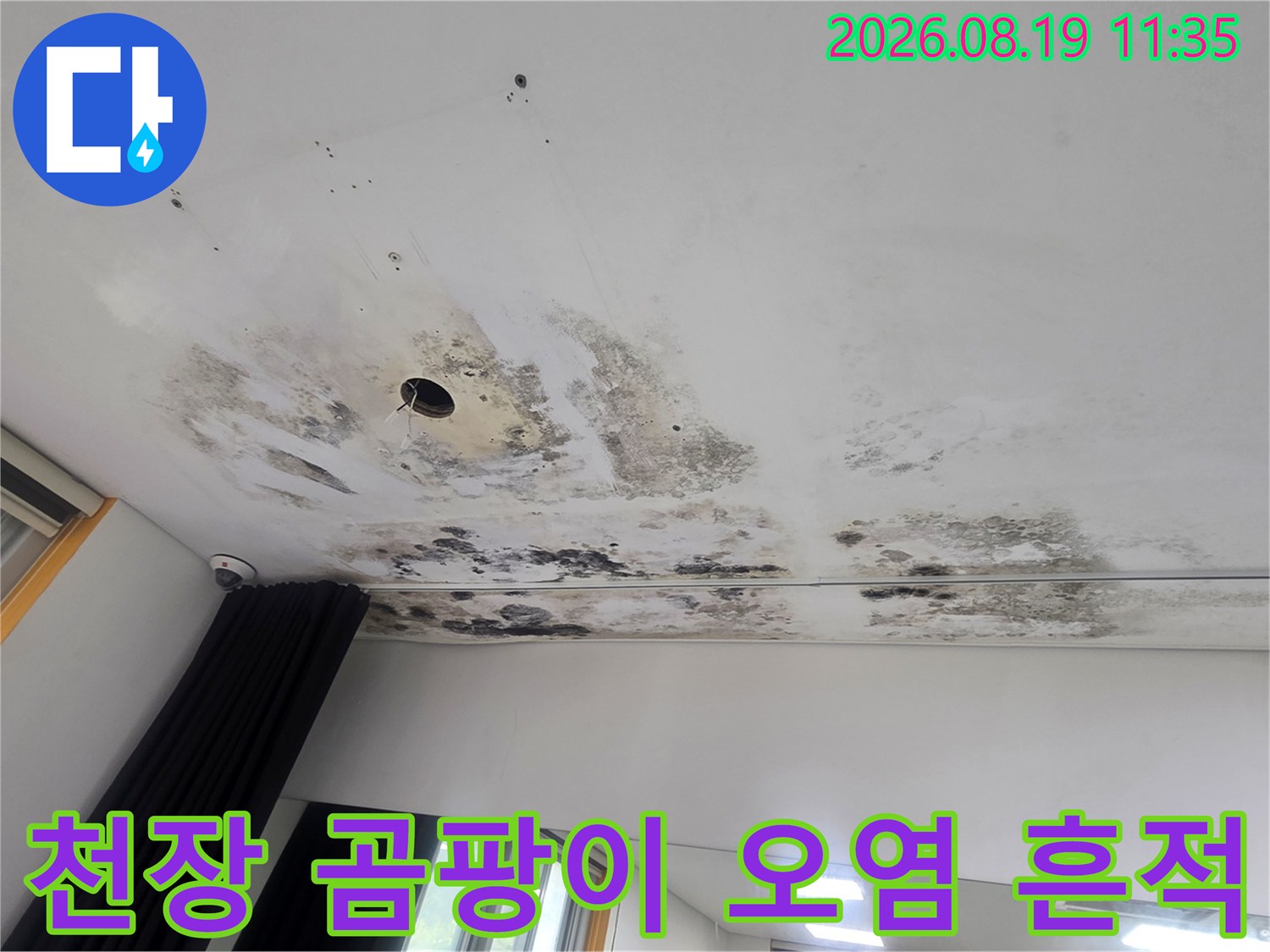 경기 광주 초월읍-천장 조명 주변에 발생한 심한 곰팡이와 물자국