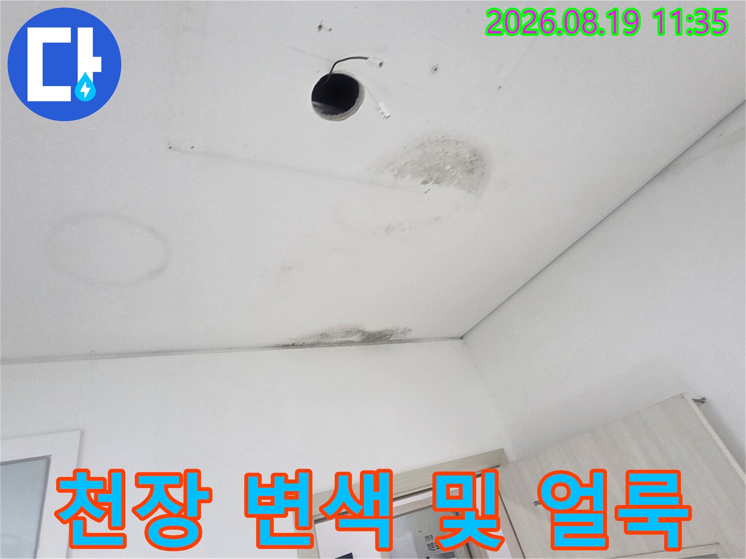 경기 광주 초월읍-천장 조명 주변의 누수 흔적과 곰팡이 발생 상태