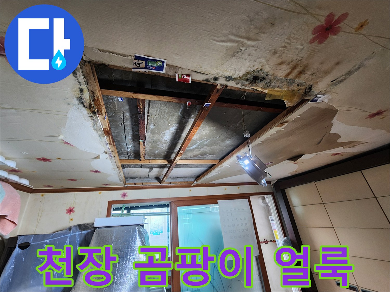 부평구 십정동 아랫집 천장 벽지에 발생한 검은 곰팡이와 물얼룩 현황