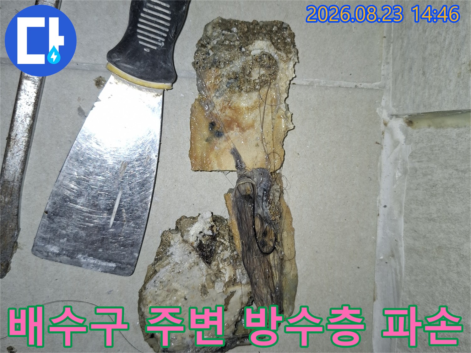 강동구 암사<em>사동-세탁실 배수구 주변의 노후된 방수층과 오염물 상태를 보여주는 사진</em>