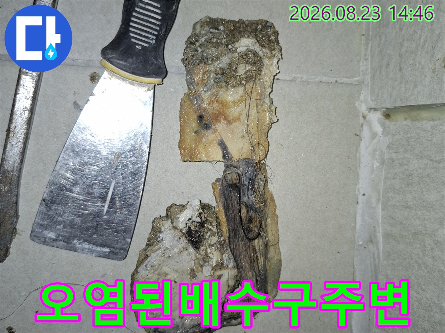 누수가-발생한-세탁실-배수구-내부의-이물질과-오염상태