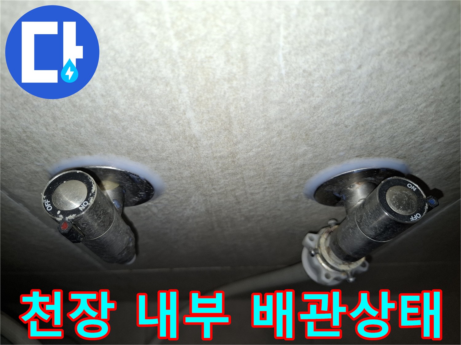 천장 마감재 사이로 보이는 배관과 주변의 습윤한 상태를 기록한 사진