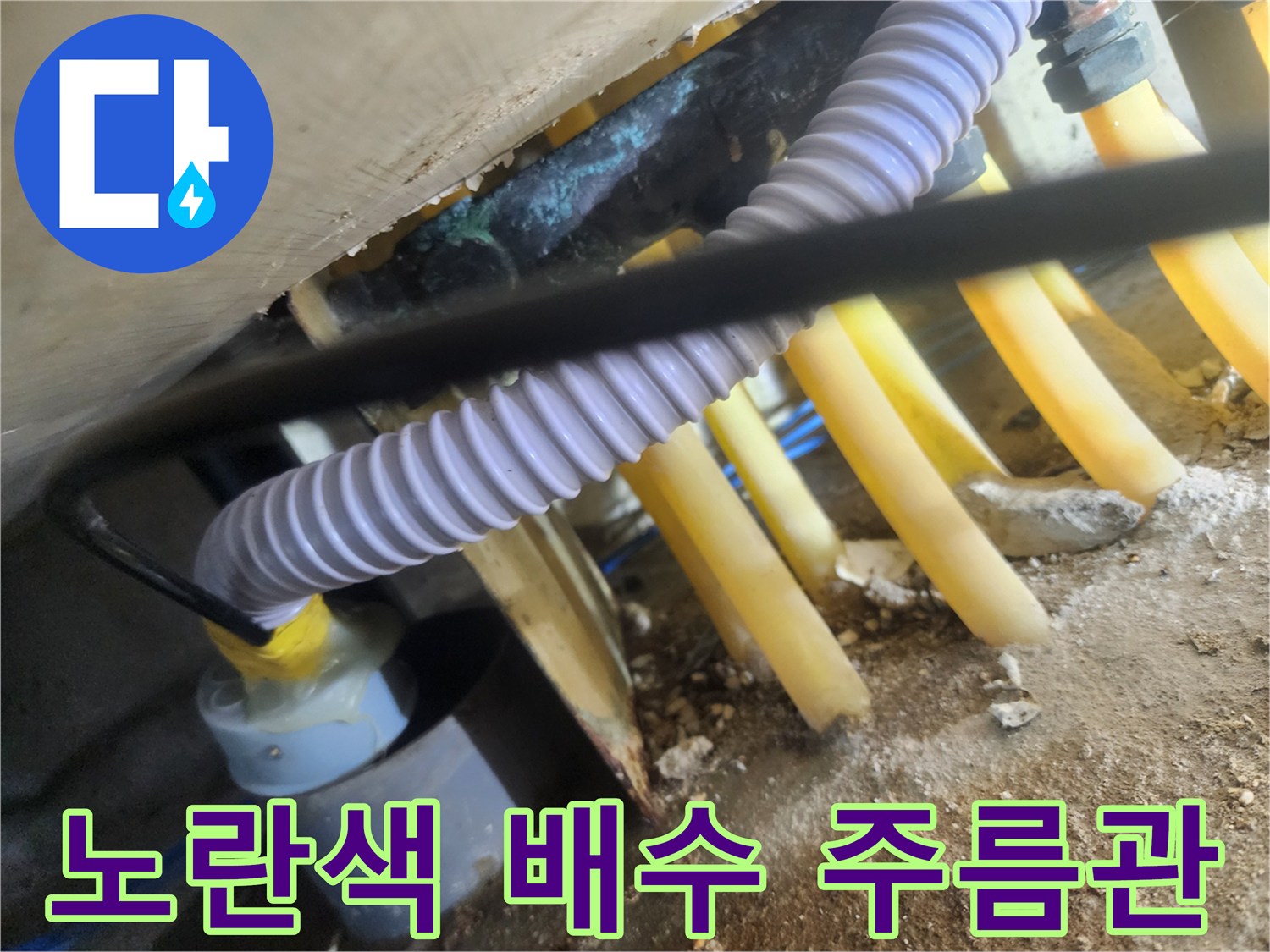 싱크대-하단에-연결된-노란색-및-보라색-배수-배관-상태