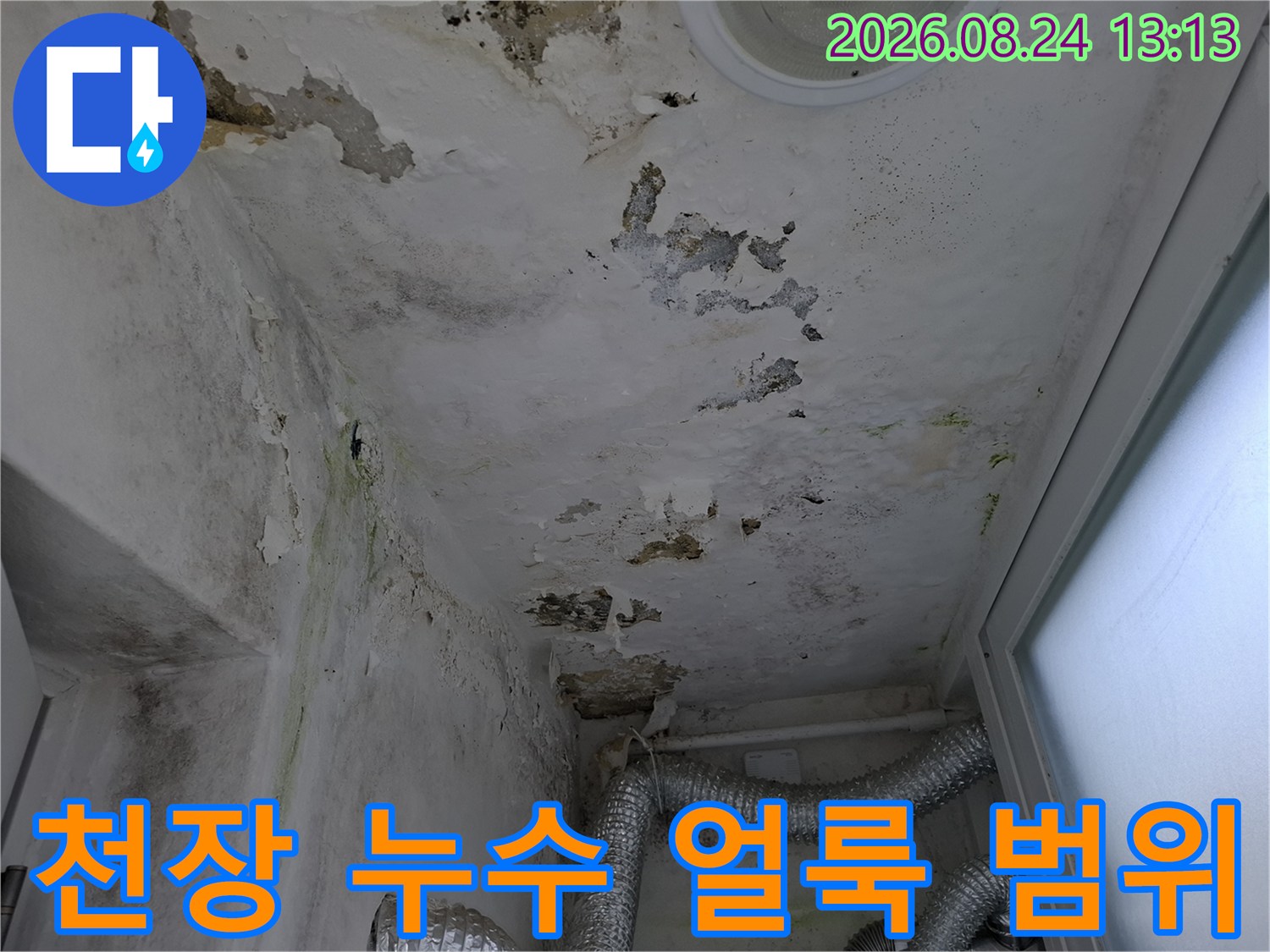 넓게 퍼진 천장 누수 흔적과 곰팡이 발생 부위 촬영