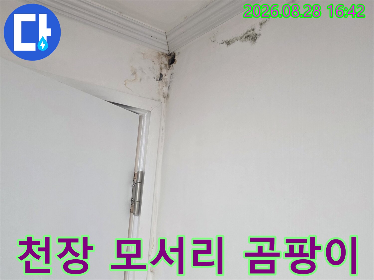 용인 기흥구 상하으로-아파트 천장 모서리에 발생한 검은 곰팡이와 벽지 얼룩 사진입니다.