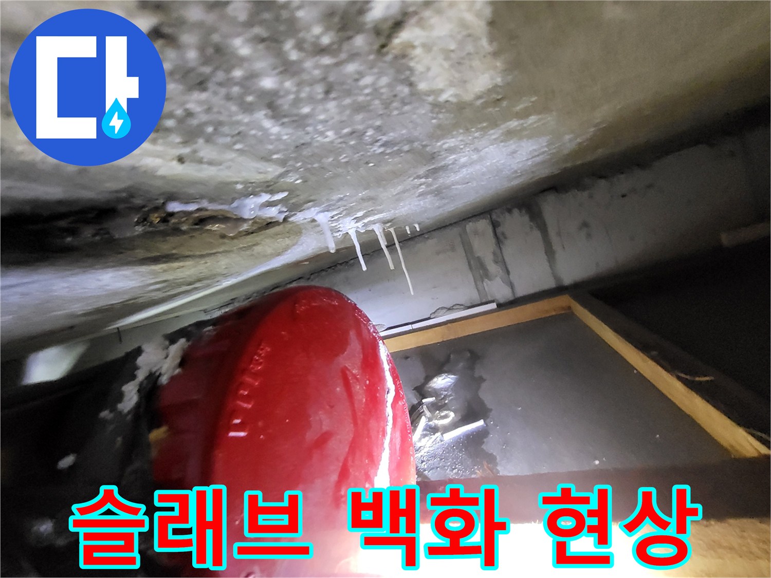 콘크리트-표면의-하얀색-백화-물질