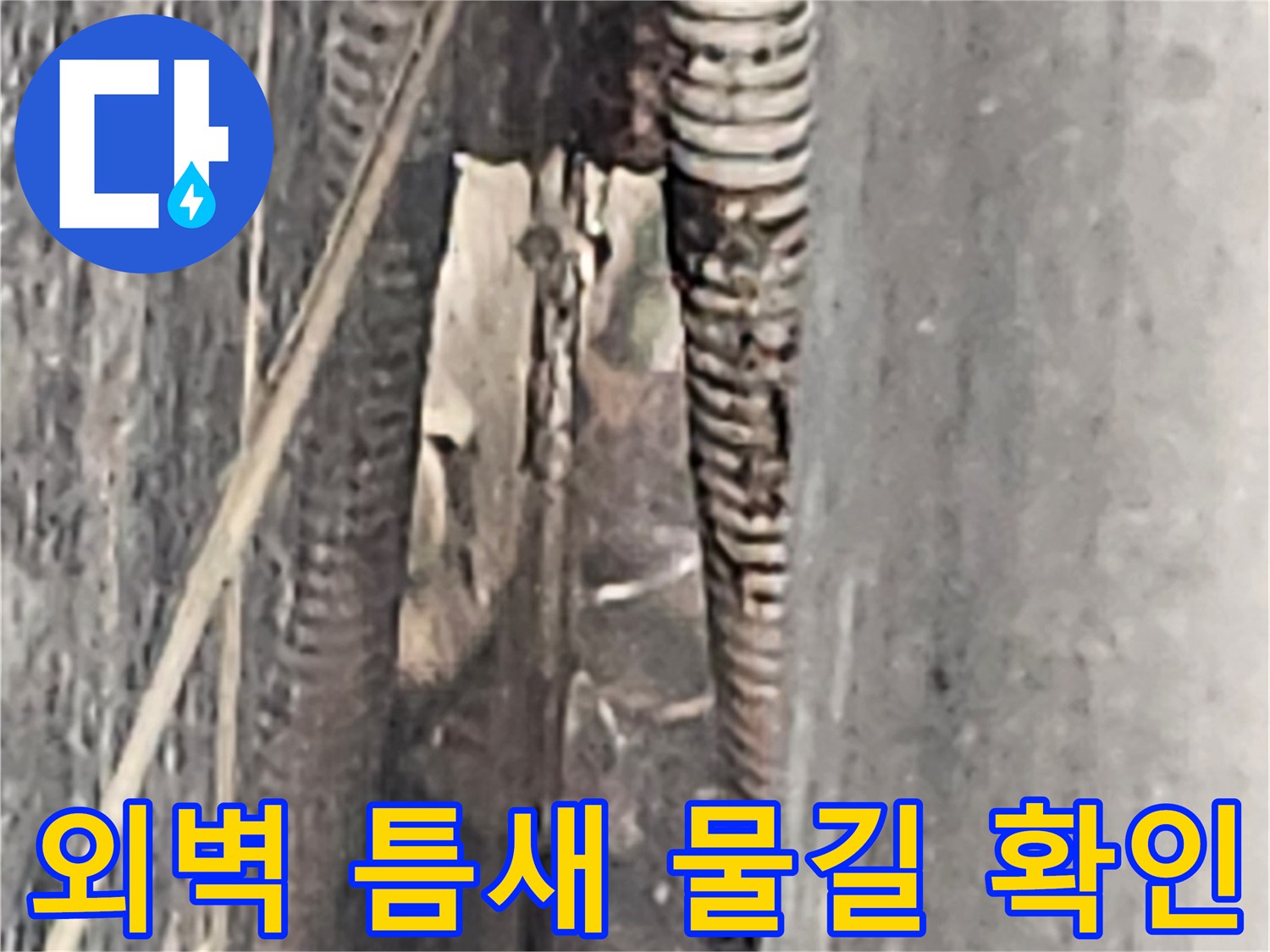 건물-외벽-아스팔트-경계-배수불량-상태