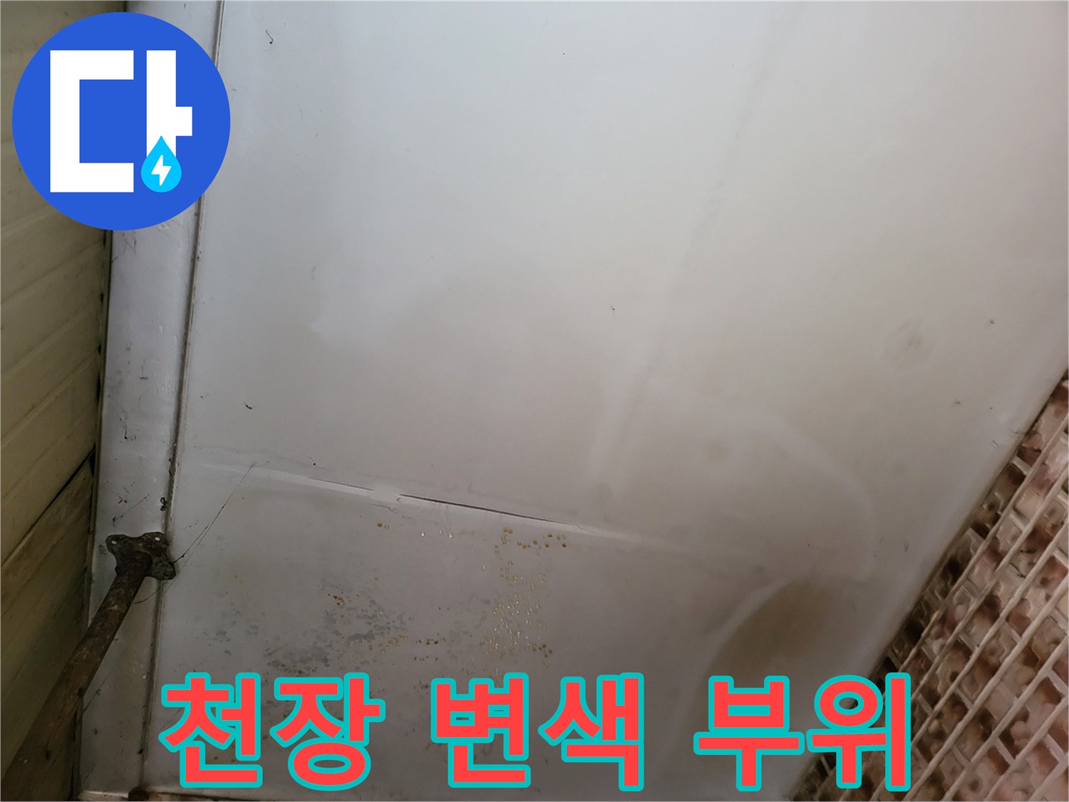 보령 남포면 현장-축축하게 젖은 천장 마감재