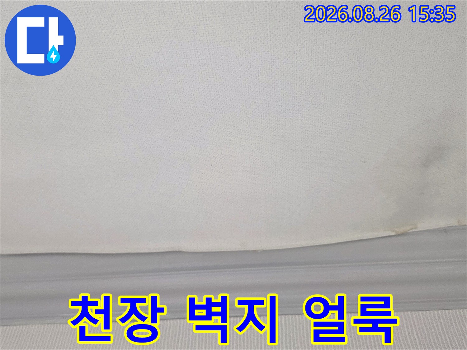경기 광주 송정동 빌라 천장 벽지에 발생한 어두운 습기 흔적과 변색 상태입니다.