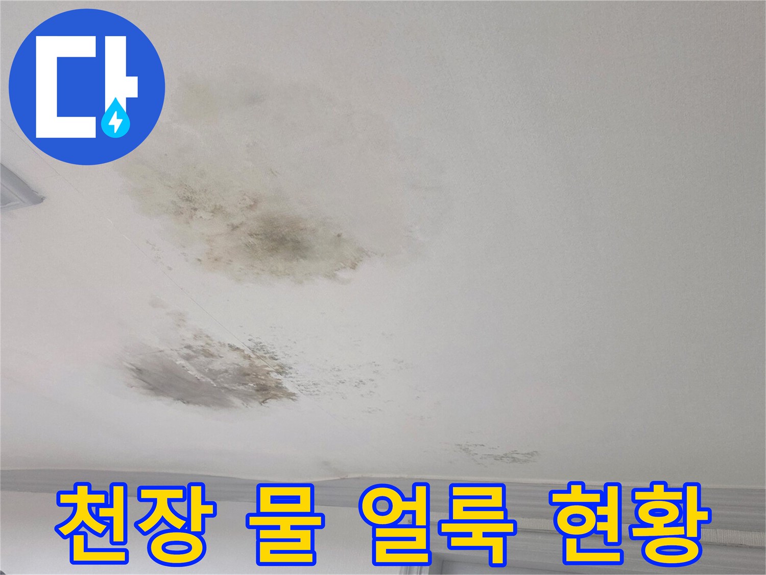 광주 송정동 빌라 - 거실 천장에 발생한 심한 물 얼룩과 곰팡이 상태