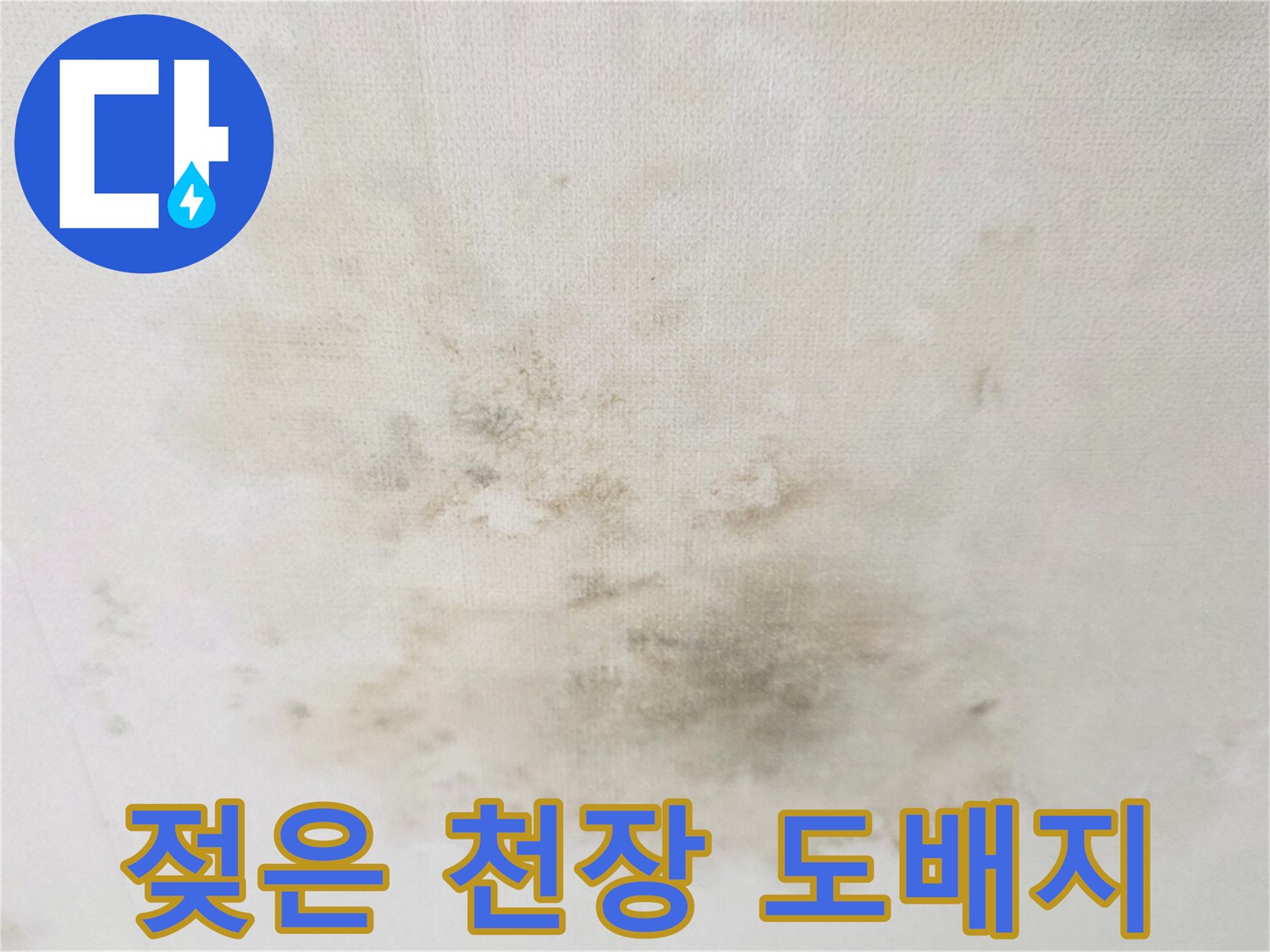 습기로 인해 변색되고 부풀어 오른 천장 도배면