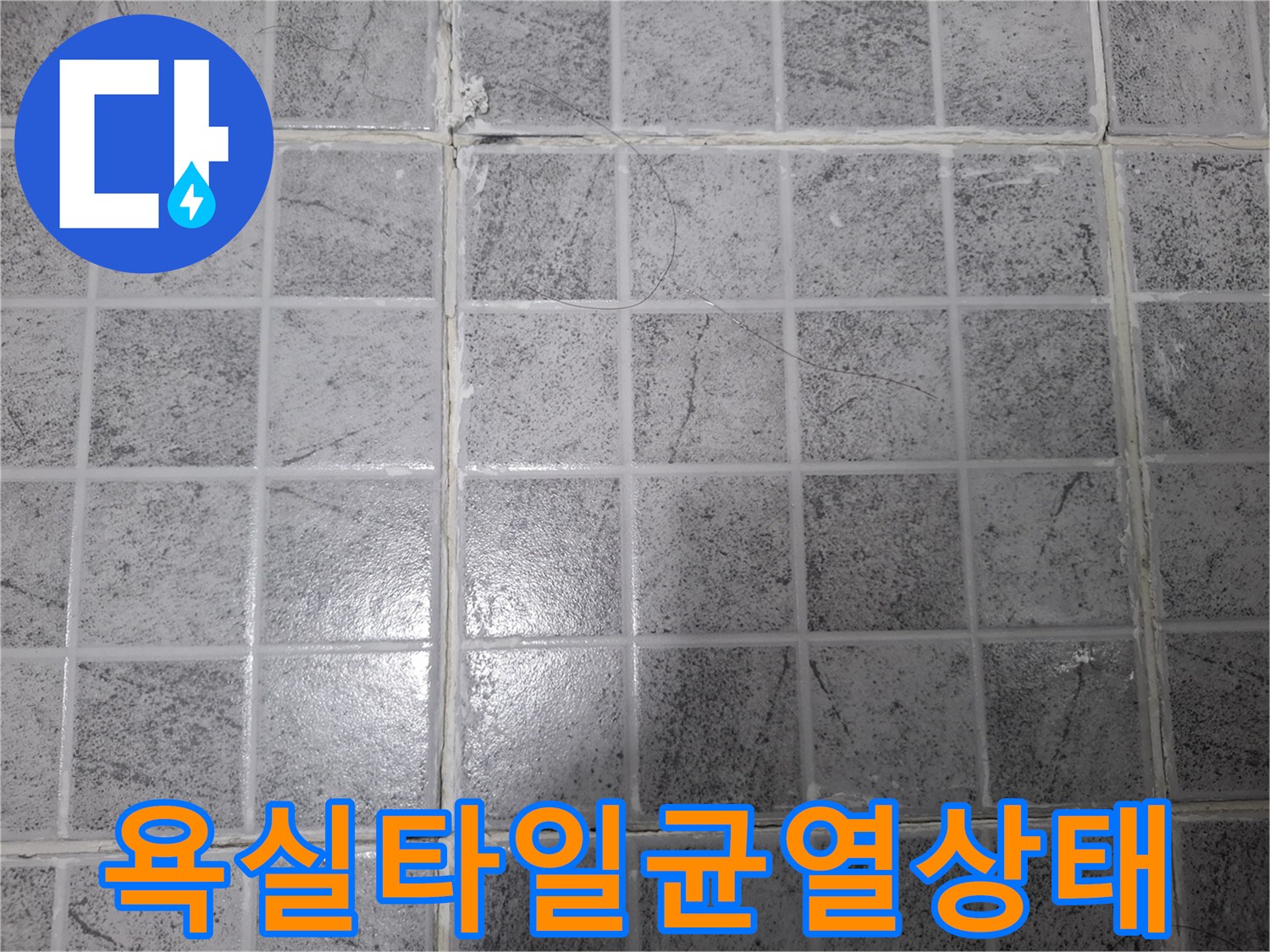 양천구 목동 현장-욕실 타일 사이의 미세한 균열과 틈새 상태를 촬영한 사진입니다.