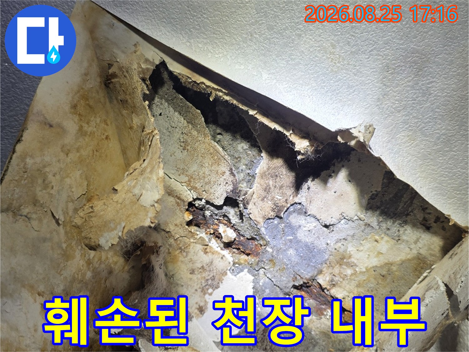 광명 하안동 현장의-심하게 젖고 훼손된 천장 마감재 내부 모습