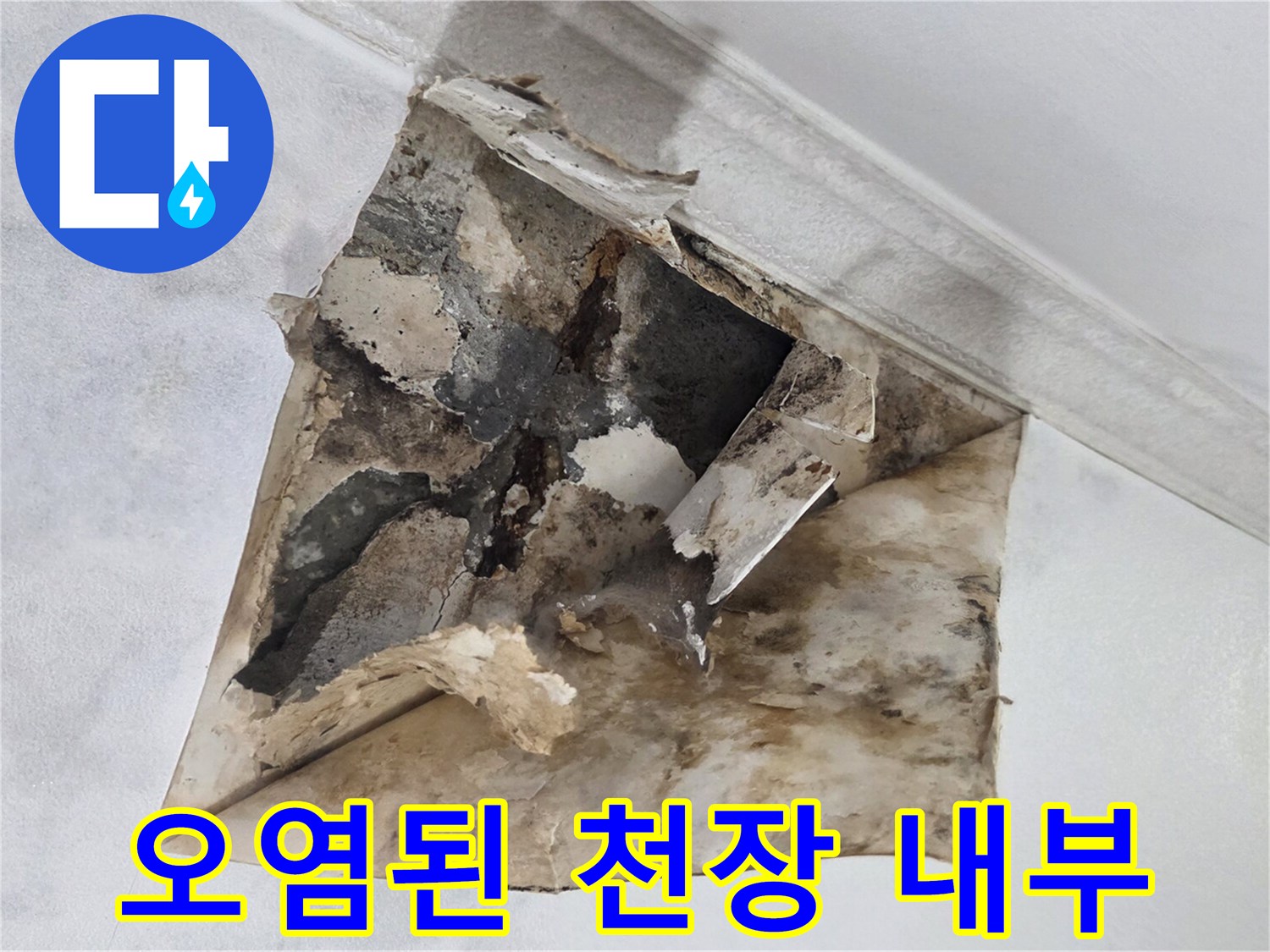 누수 피해로 인한-천장 내부 곰팡이와 습기 침투