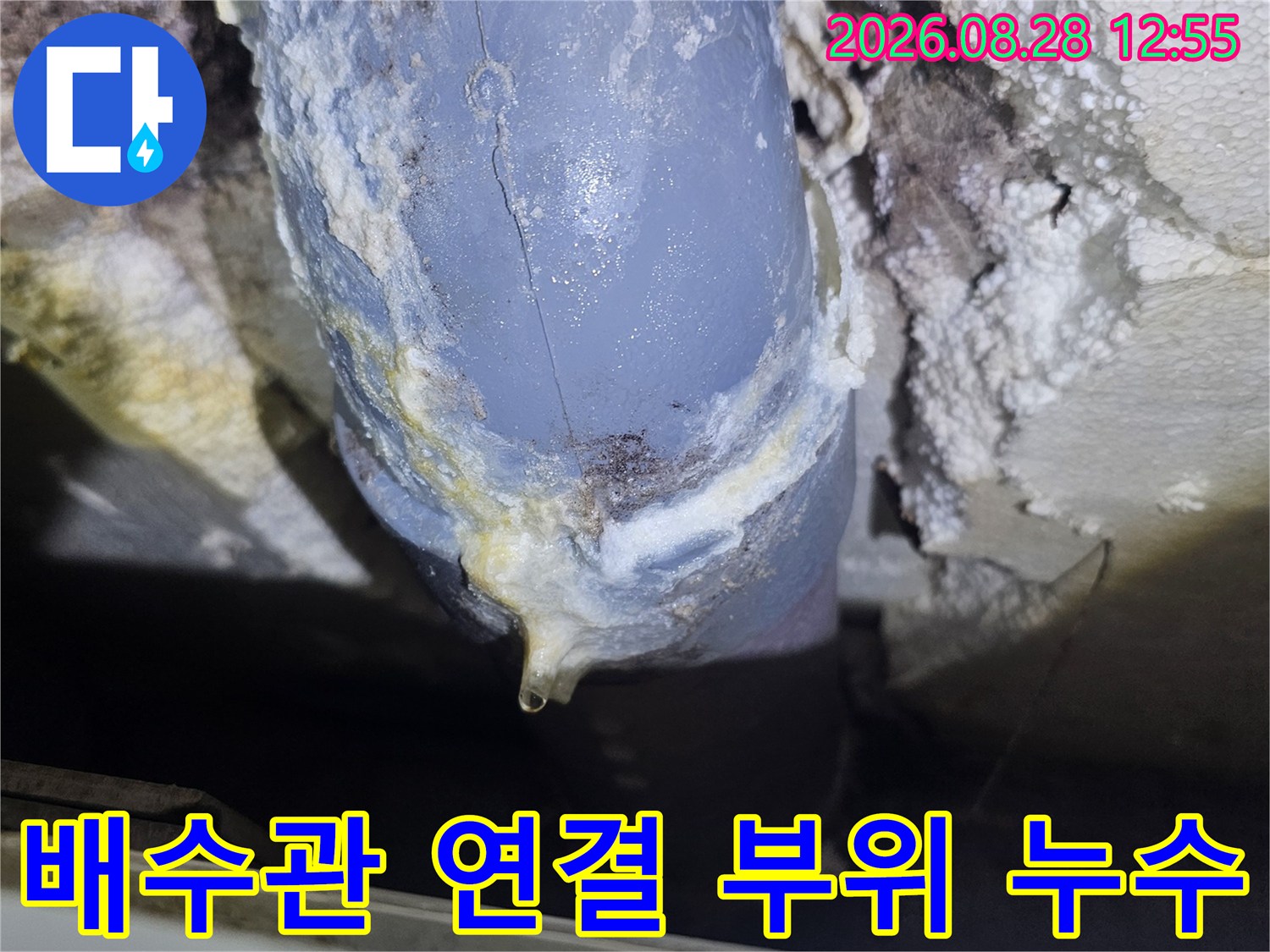 강북구 수유동 현장-배수관 이음새 주변의 백화 현상과 물샘 흔적