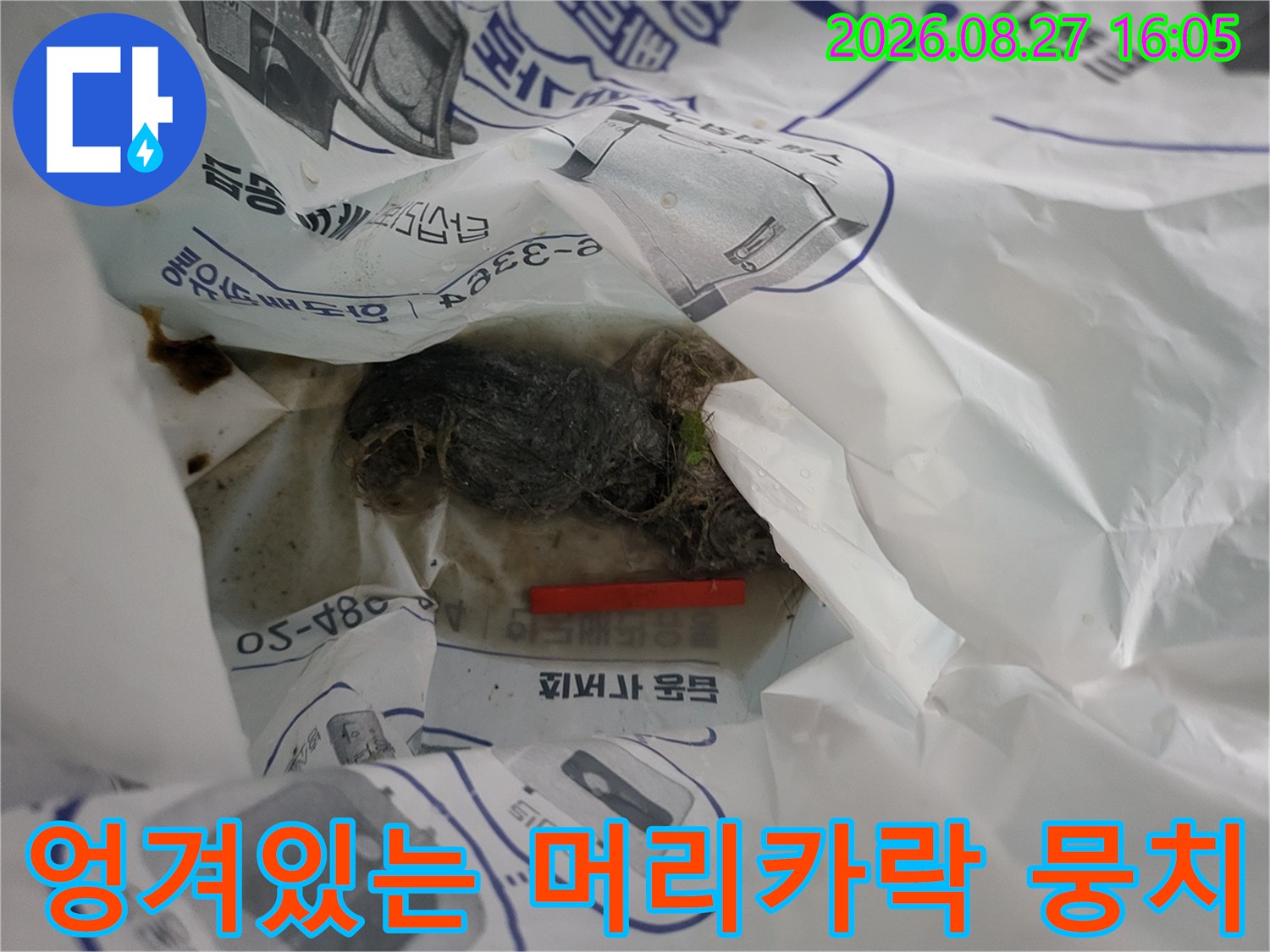 배관 내부의 이물질-머리카락과 오물이 뒤섞인 배관 상태