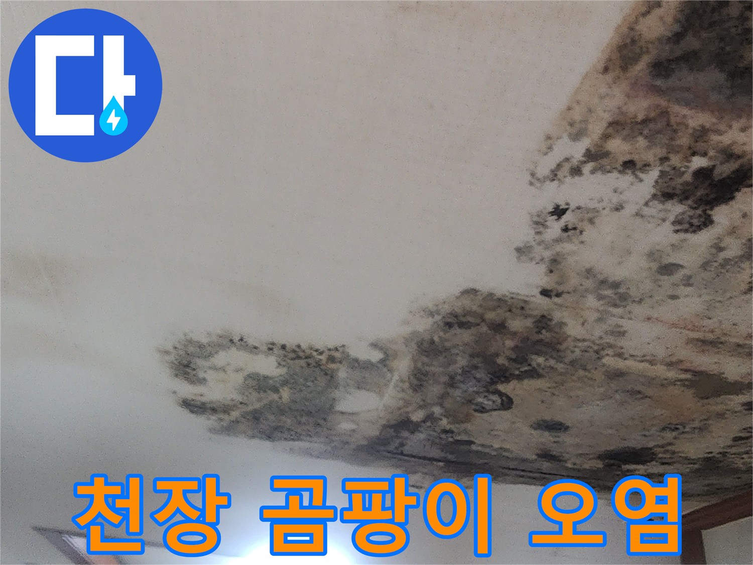 성북구 거실 천장-심한 곰팡이와 벽지 변색 상태
