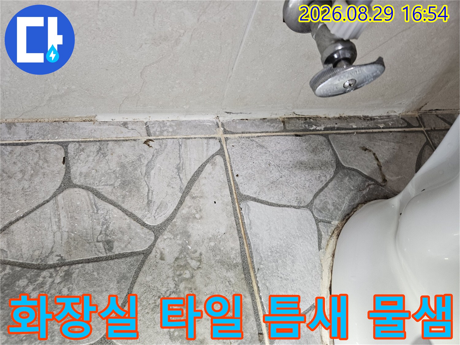 노원구 상계동 현장의 - 화장실 타일 줄눈 사이로 보이는 습기 흔적