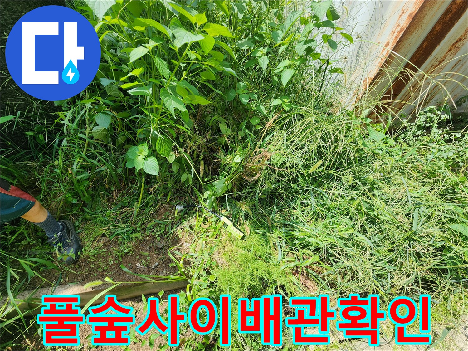 무성한 잡초 사이-배관 주변을 탐색하며-누수 발생 부위를 찾는 장면입니다.