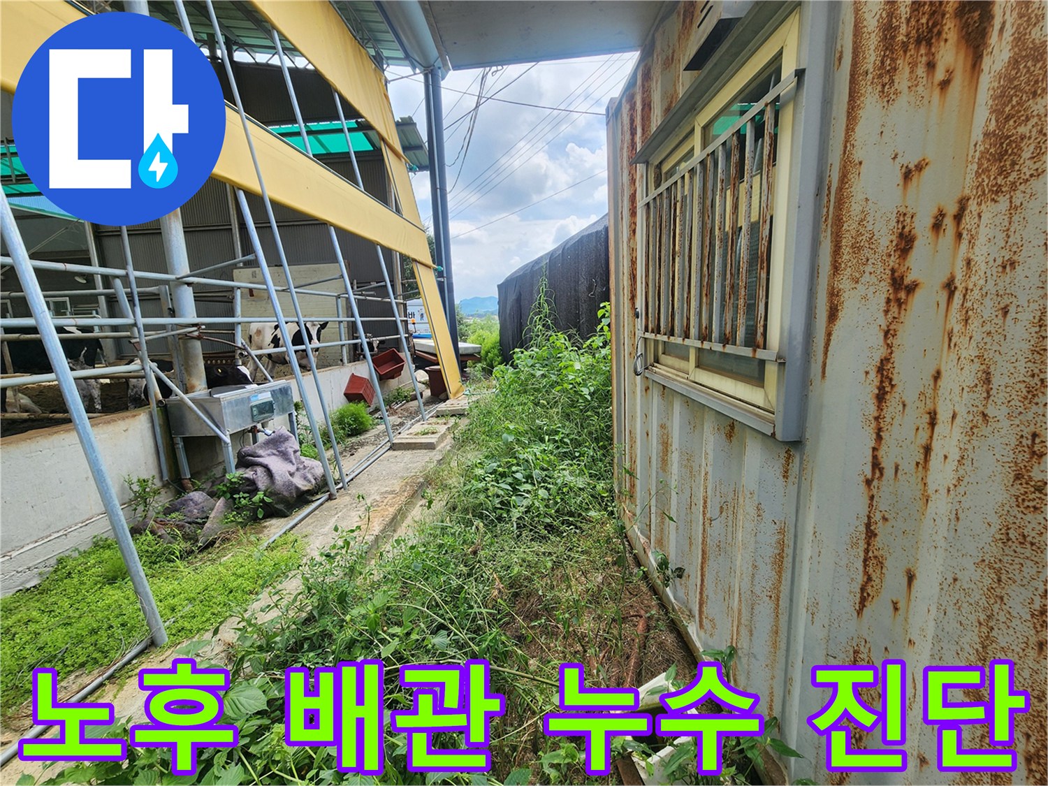 양주시 남면 현장-컨테이너 주변 수풀 아래 배관 탐지 과정