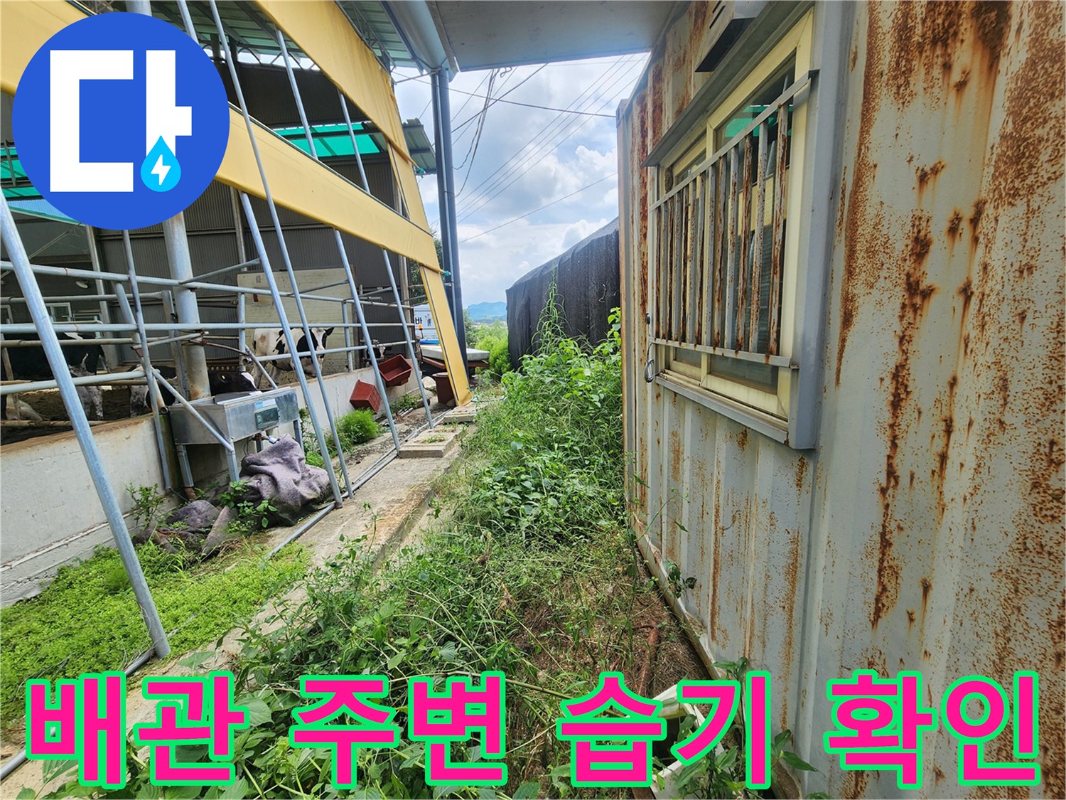 정밀 가스 탐지기를 사용하여 배관 매설 부위의 누수 반응을 체크하는 현장 상황입니다.