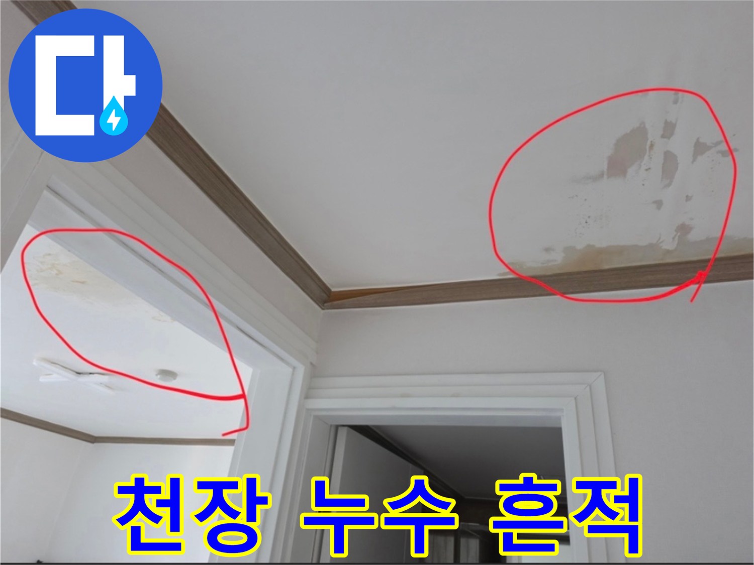 아파트-천장-부분별-물자국-및-변색-상태