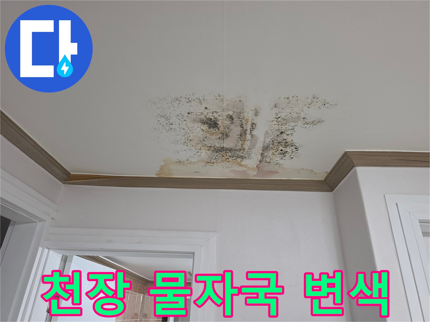 천장 마감재 부근에 퍼진 곰팡이와 습기 흔적