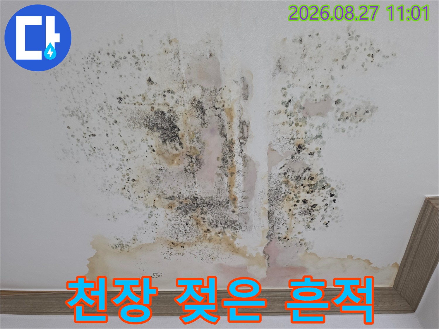 천장 마감재에 나타난 습기 머금은 갈색 얼룩과 곰팡이