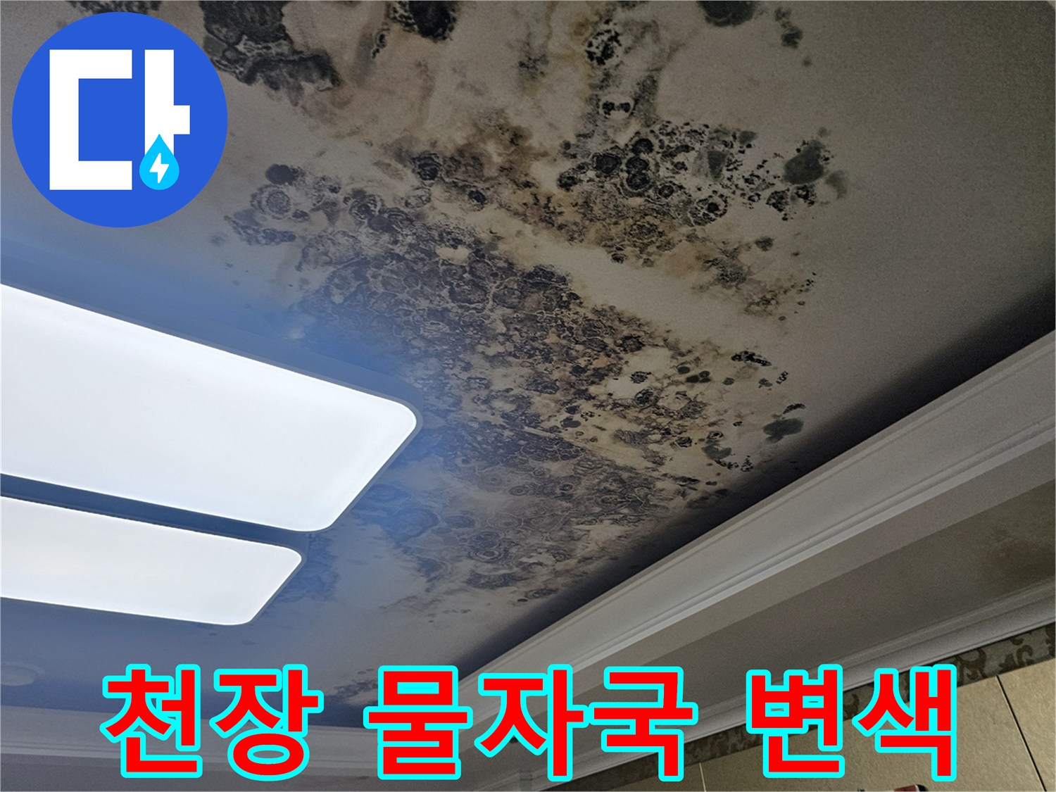 거실 조명 근처로 번져있는 천장 누수 흔적과 젖은 마감재