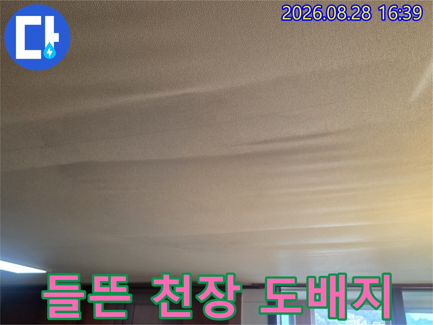 거실 천장 도배지가 물기로 인해 부풀어 오른 모습-누수 의심 현장