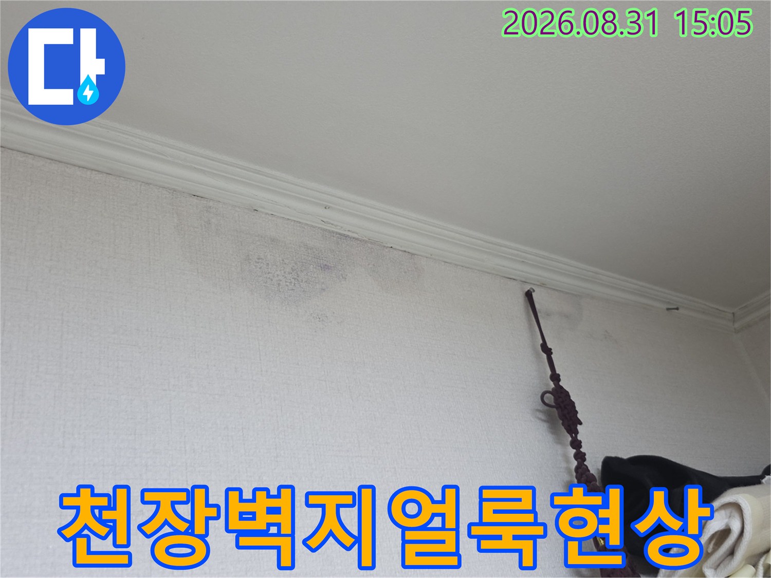 강동구 암사동-천장 벽지에 발생한 물 얼룩과 습기 현상