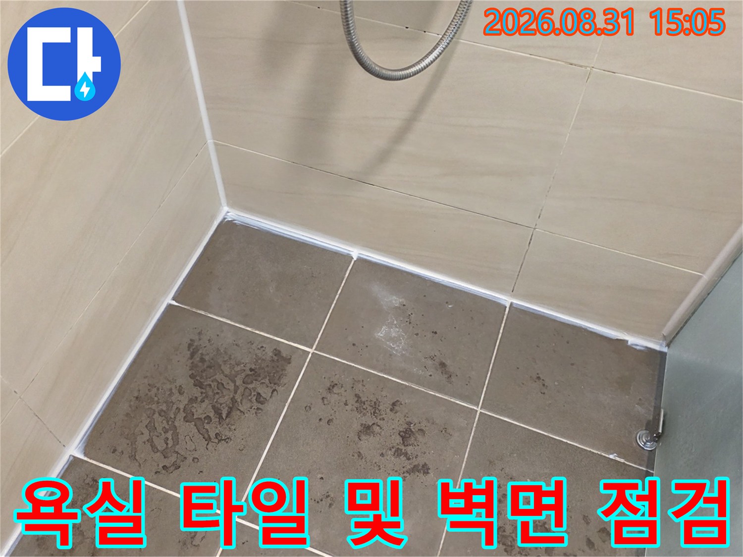 강동구 암사동 화장실-바닥과 벽면의 타일 상태 확인