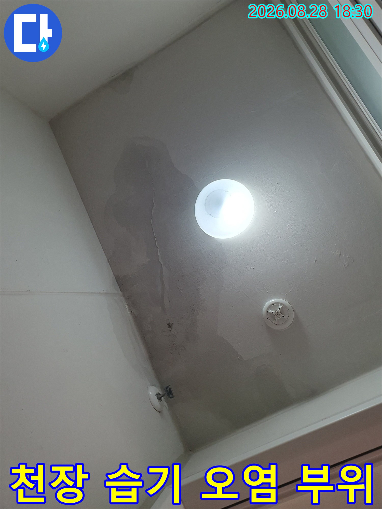 세탁실 전등 아래쪽으로 번진 천장 마감재의 젖은 흔적